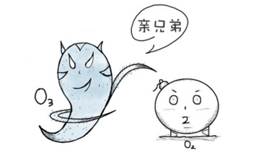 位于臭氧老化試驗箱中的臭氧系統(tǒng)